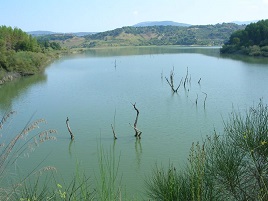 Caratteristica del lago Angitola.